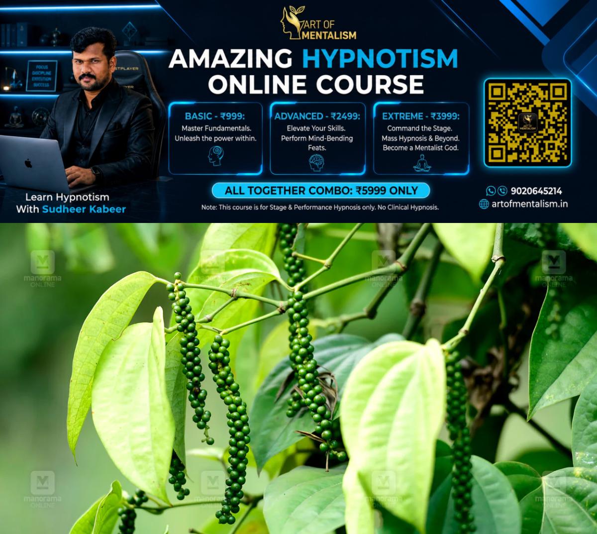 newskerala.net_1789024030_Pepper