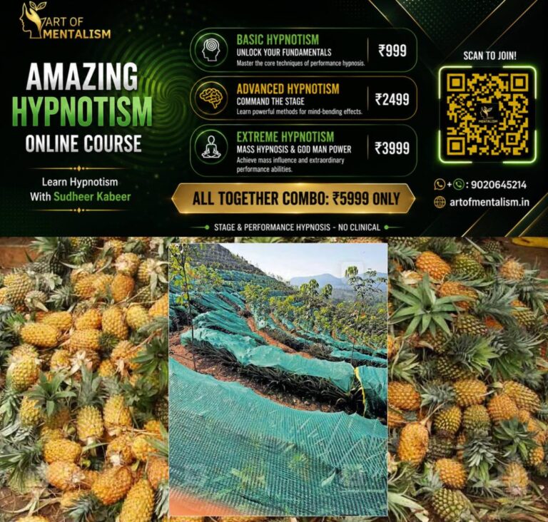 newskerala.net_1789037765_pineapple-crop-heat-threat