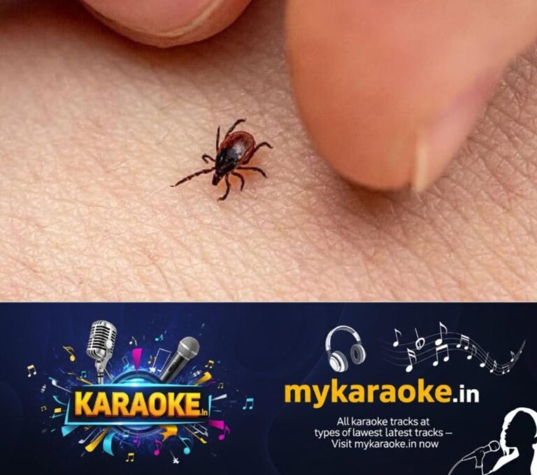 newskerala.net_1789040408_w-1280h-720format-jpgimgid-01kb9jxve6p3v34f8qsbbrrr52imgname-scrub-typhus-1764479659462