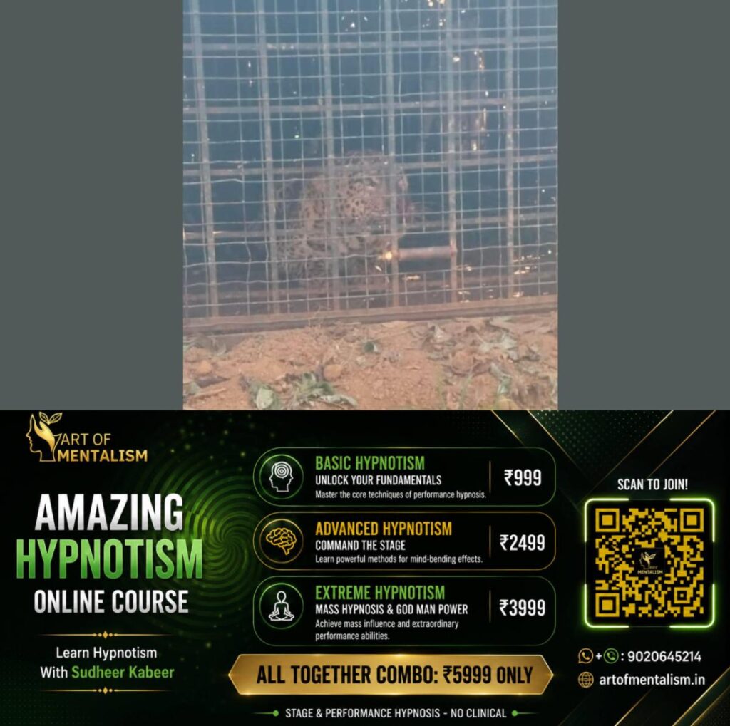 newskerala.net_1789095006_w-1280h-720format-jpgimgid-01m27602z3gm7ga2c6b4669t8fimgname-leopard-1789095054307