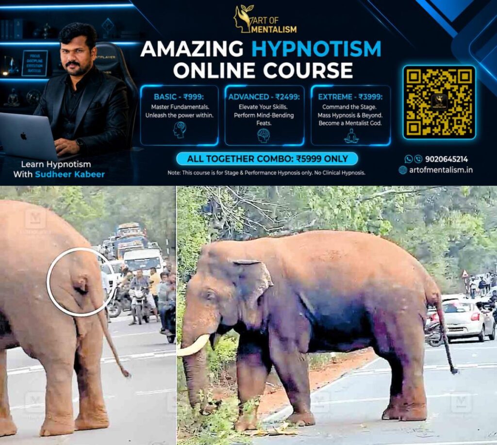 newskerala.net_1789114325_wild-elephant-attack