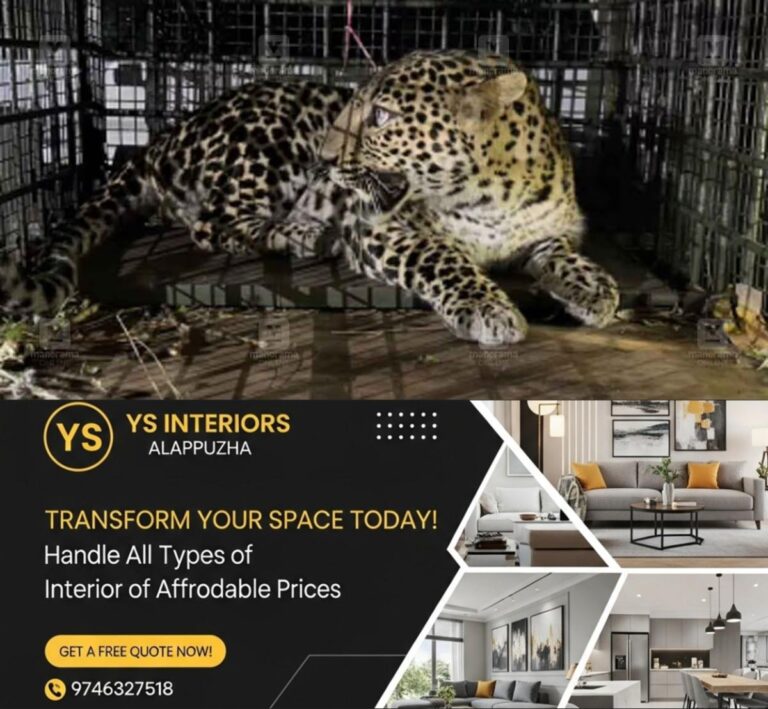 newskerala.net_1789357808_leopard