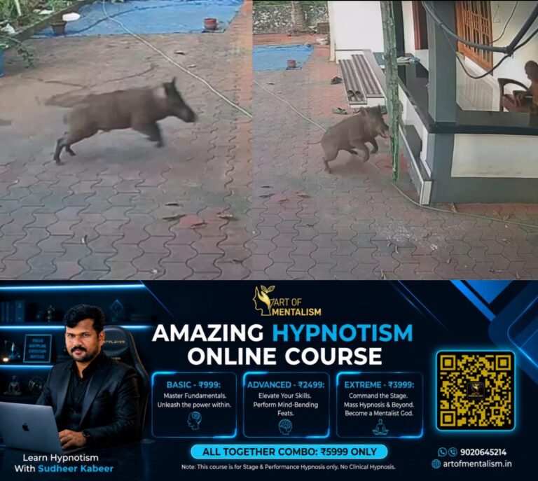 newskerala.net_1789562645_wild-boar2