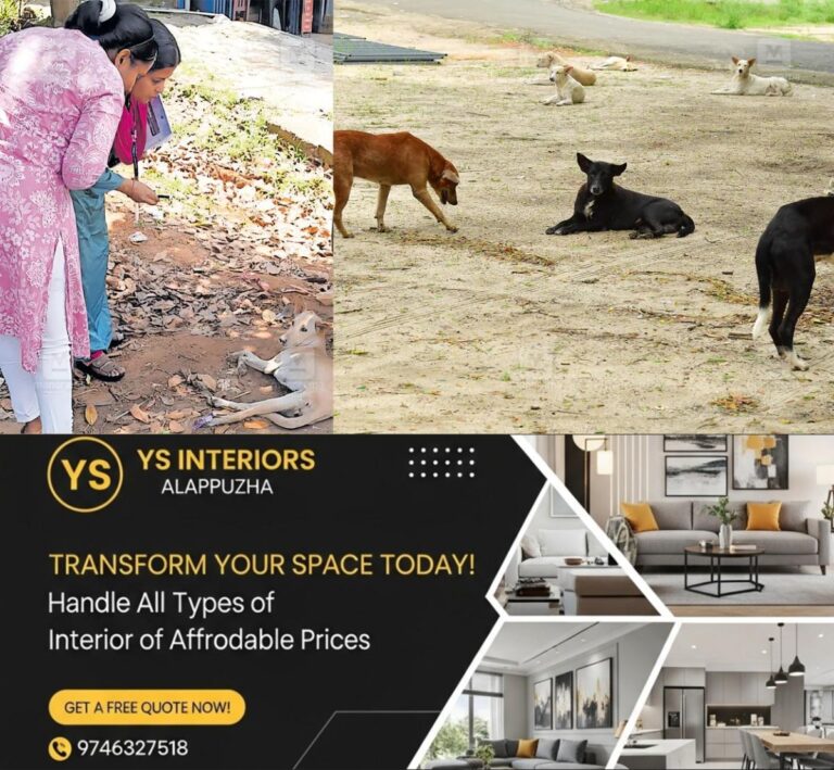 newskerala.net_1789708087_dog-virus-spread-1
