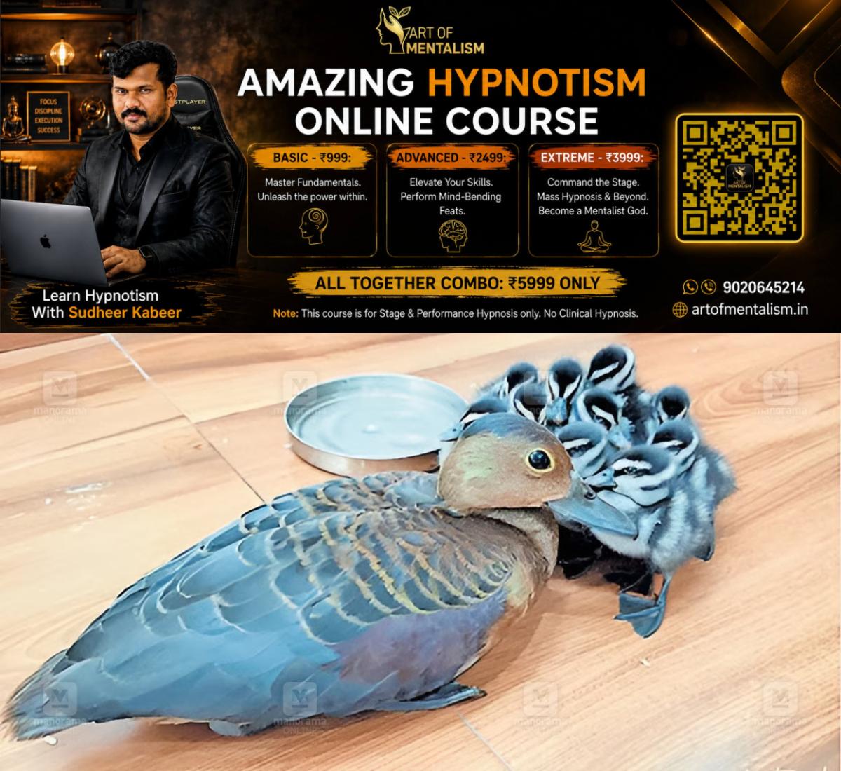 newskerala.net_1789710245_wild-duck-lab-visit-pariyaram-1