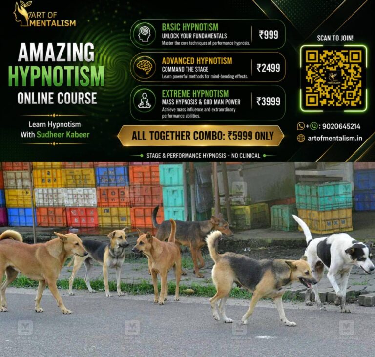 newskerala.net_1789797007_stray-dogs