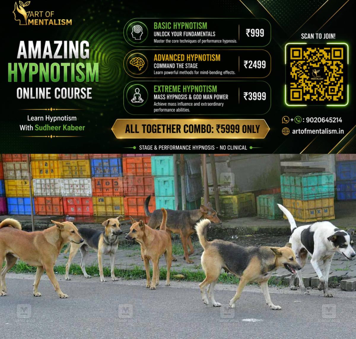 newskerala.net_1789797007_stray-dogs