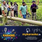 newskerala.net_1789896727_knr-elephant