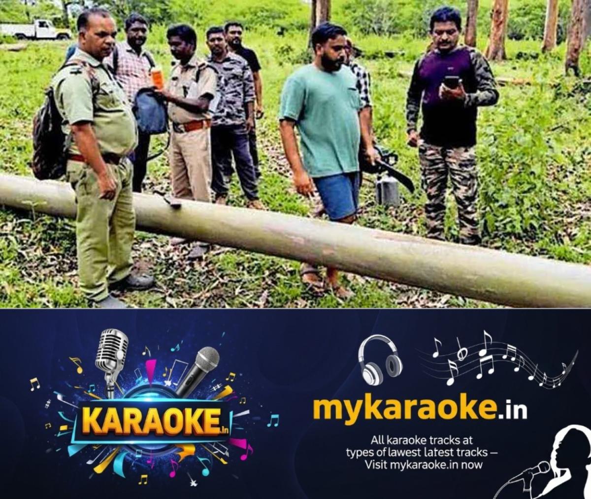 newskerala.net_1789896727_knr-elephant