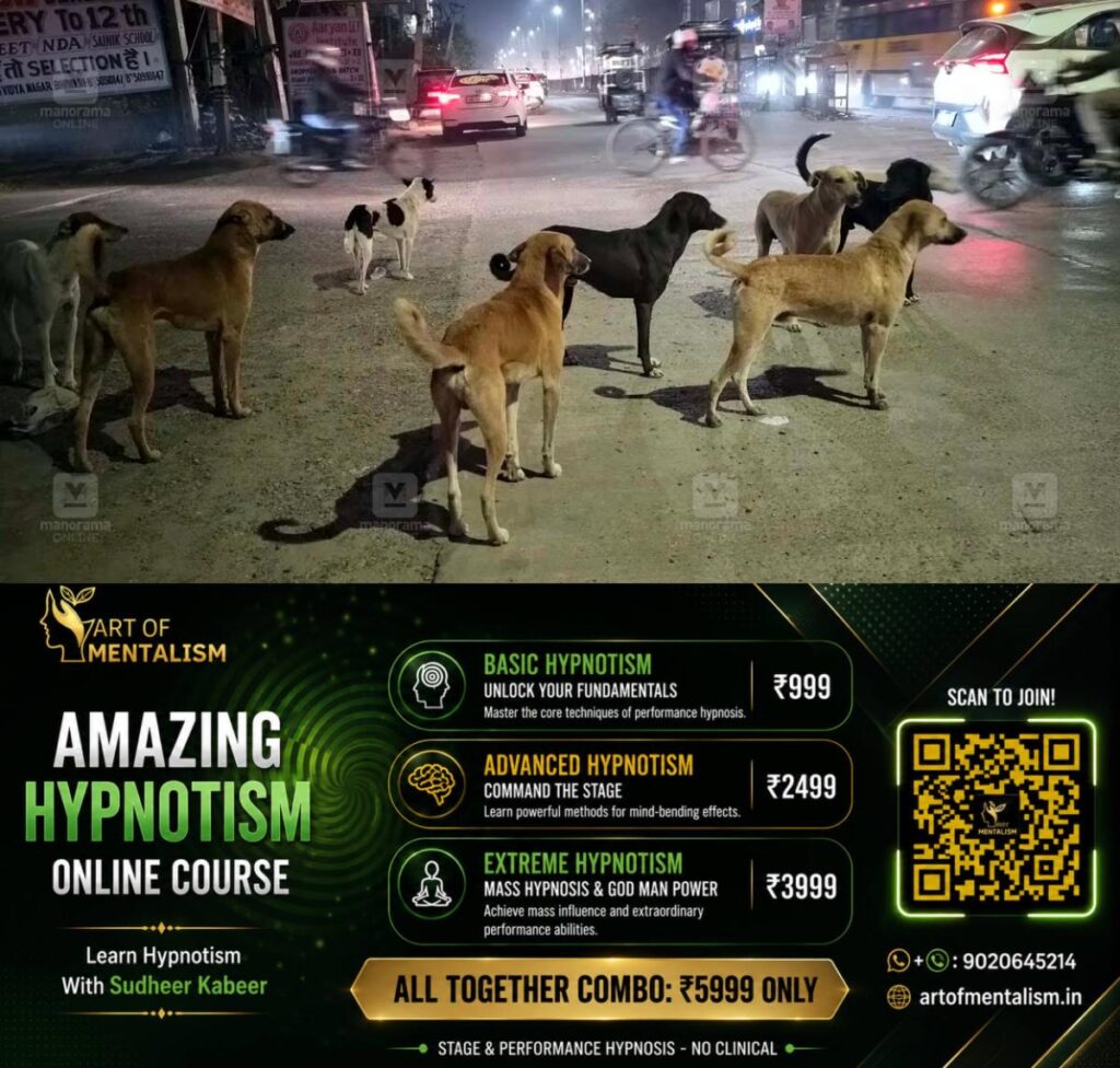 newskerala.net_1789956245_stray-dog-1