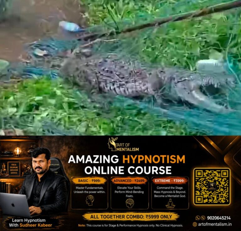 newskerala.net_1790025485_w-1280h-720format-jpgimgid-01m32vc9jq2ynj8zecjsn53byaimgname-300-kg-crocodile-1790023444055
