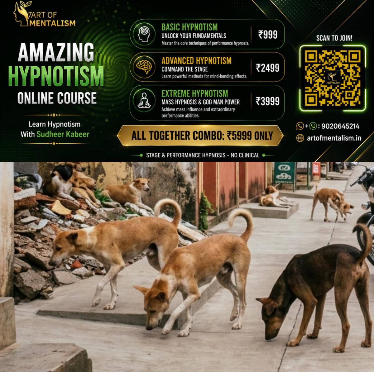 newskerala.net_1790140086_w-1280h-720format-jpgimgid-01m29wbtn5t4b06vn31mekdepyimgname-stray-dog-attack-thiruvananthapuram