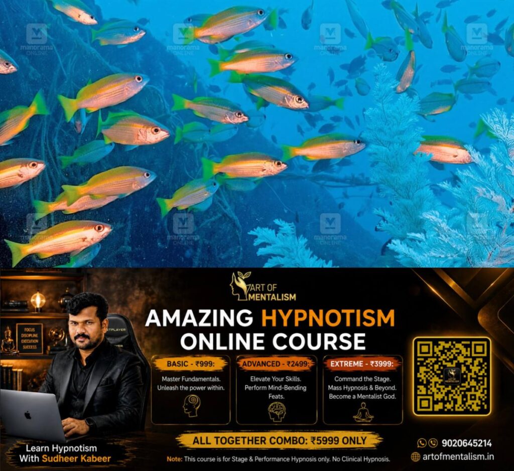 newskerala.net_1790178246_kochi-marine-life