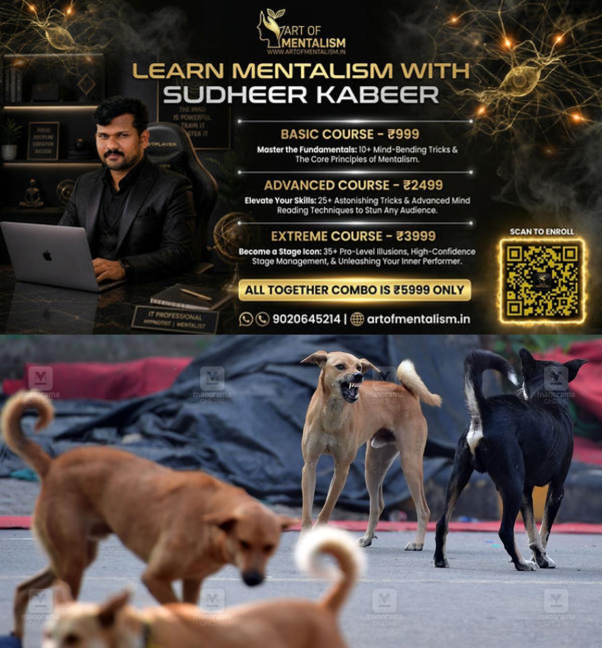 newskerala.net_1790317448_Stray-dog-fight