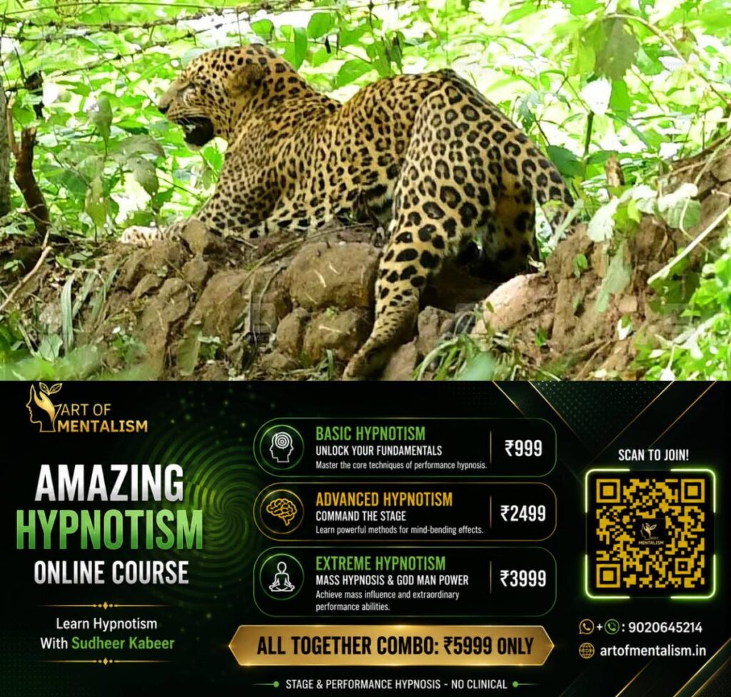newskerala.net_1790402647_leopard-local-news