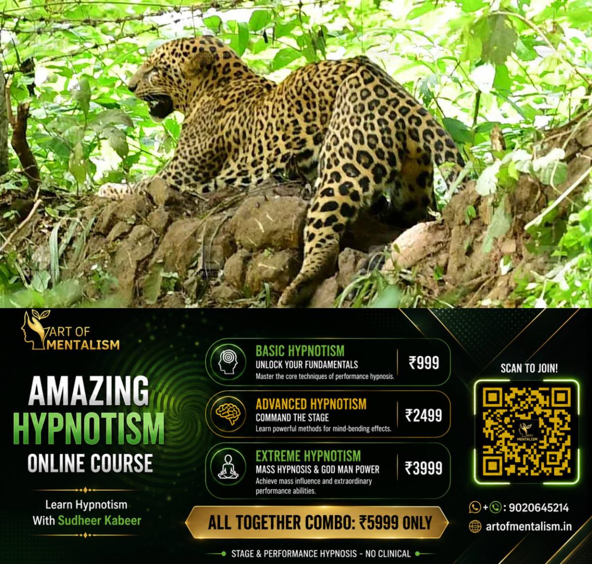 newskerala.net_1790402647_leopard-local-news