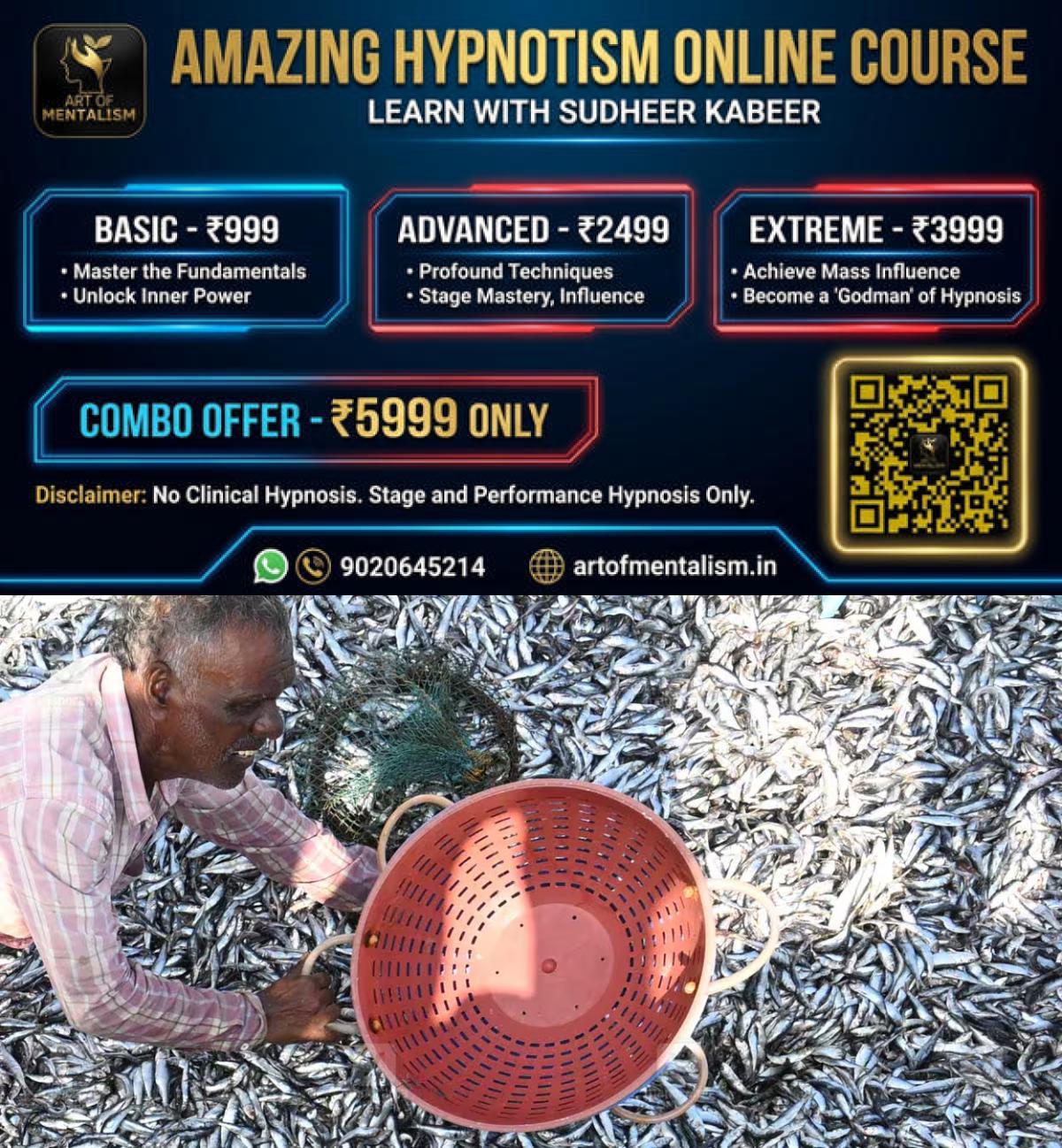newskerala.net_1790405229_kasaragod-fishing-sardine-catch