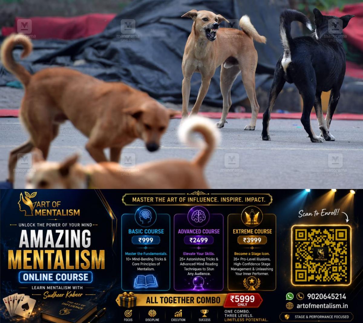newskerala.net_1790486890_Stray-dog-fight