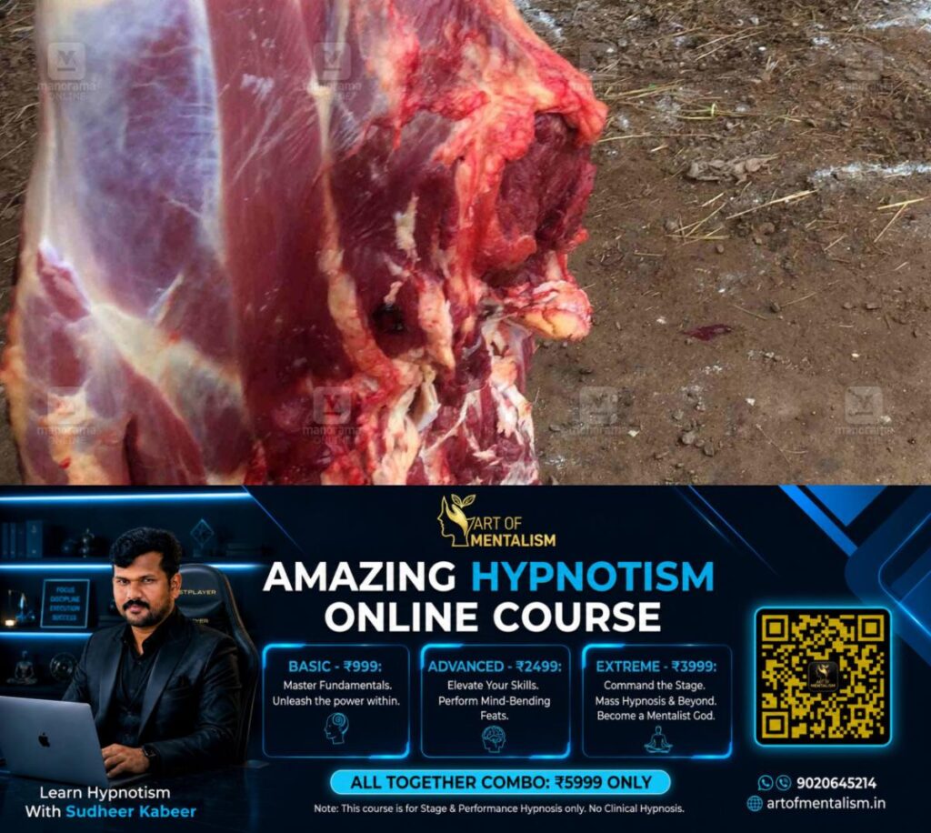 newskerala.net_1790488807_meat-local-news