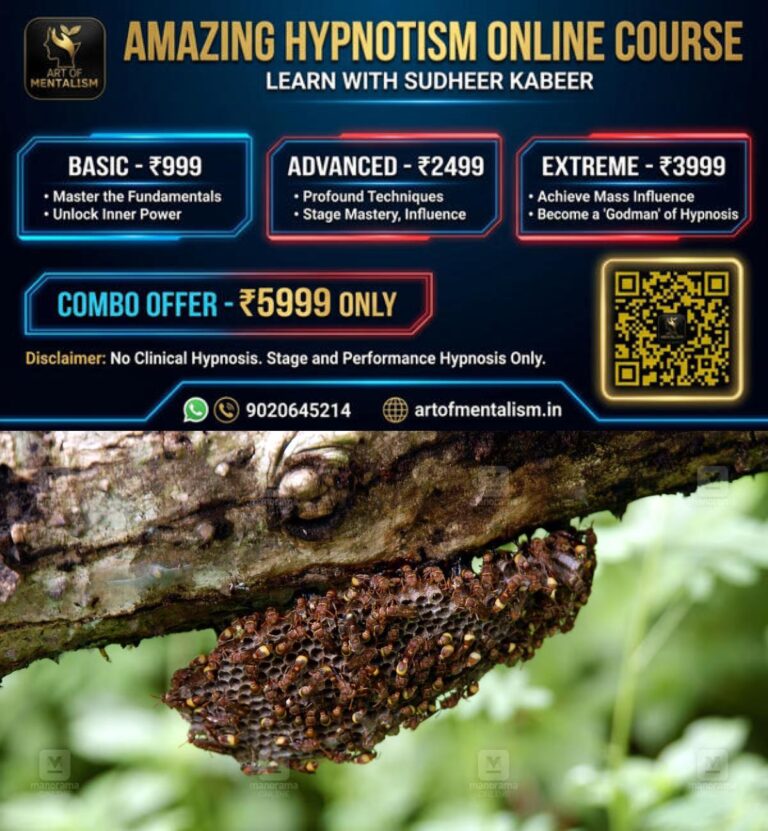 newskerala.net_1790518208_kadannal-wasp-1