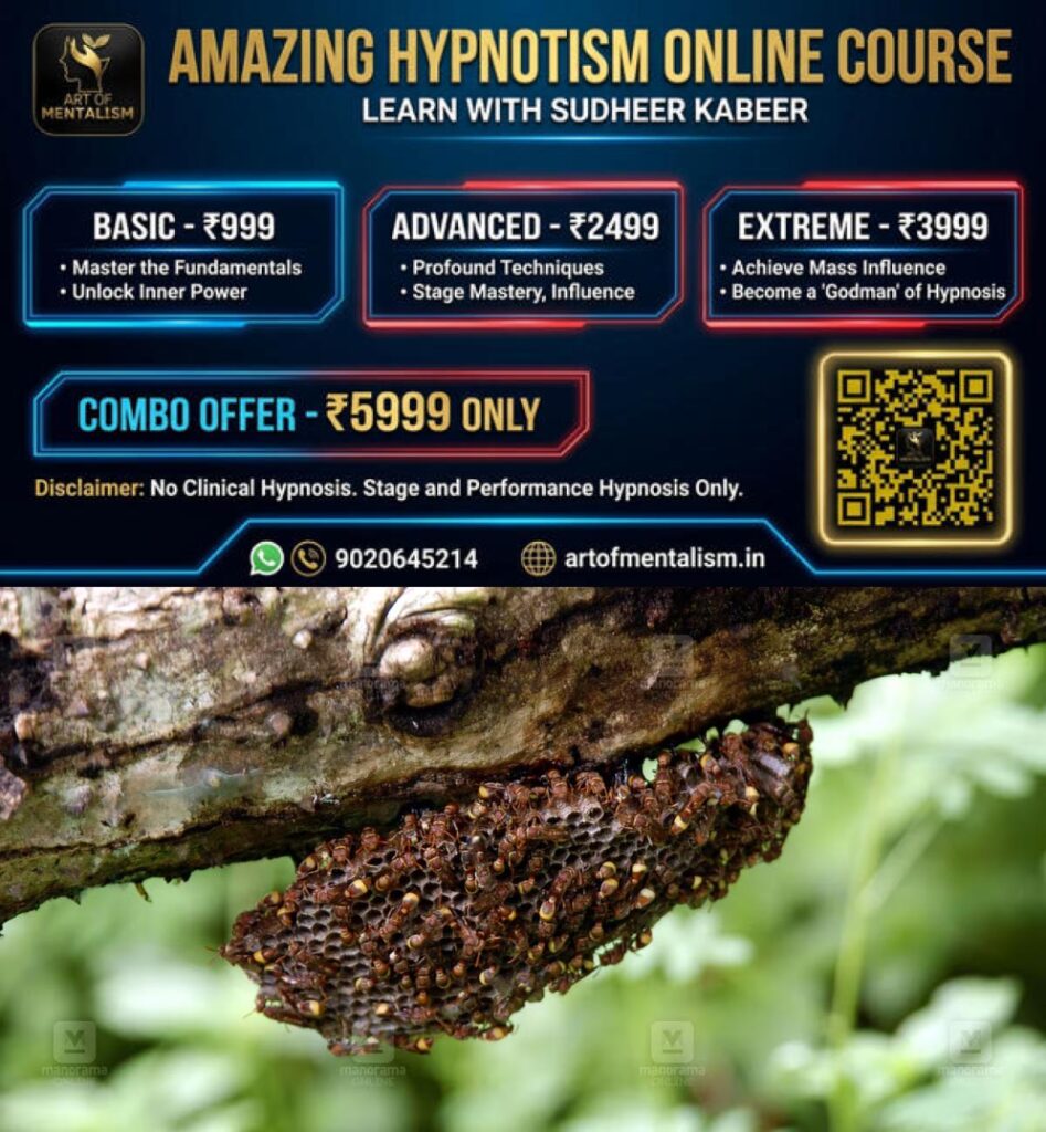newskerala.net_1790518208_kadannal-wasp-1