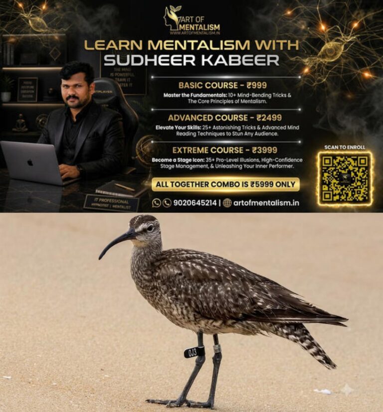 newskerala.net_1790523364_eurasian-whimbrel-1