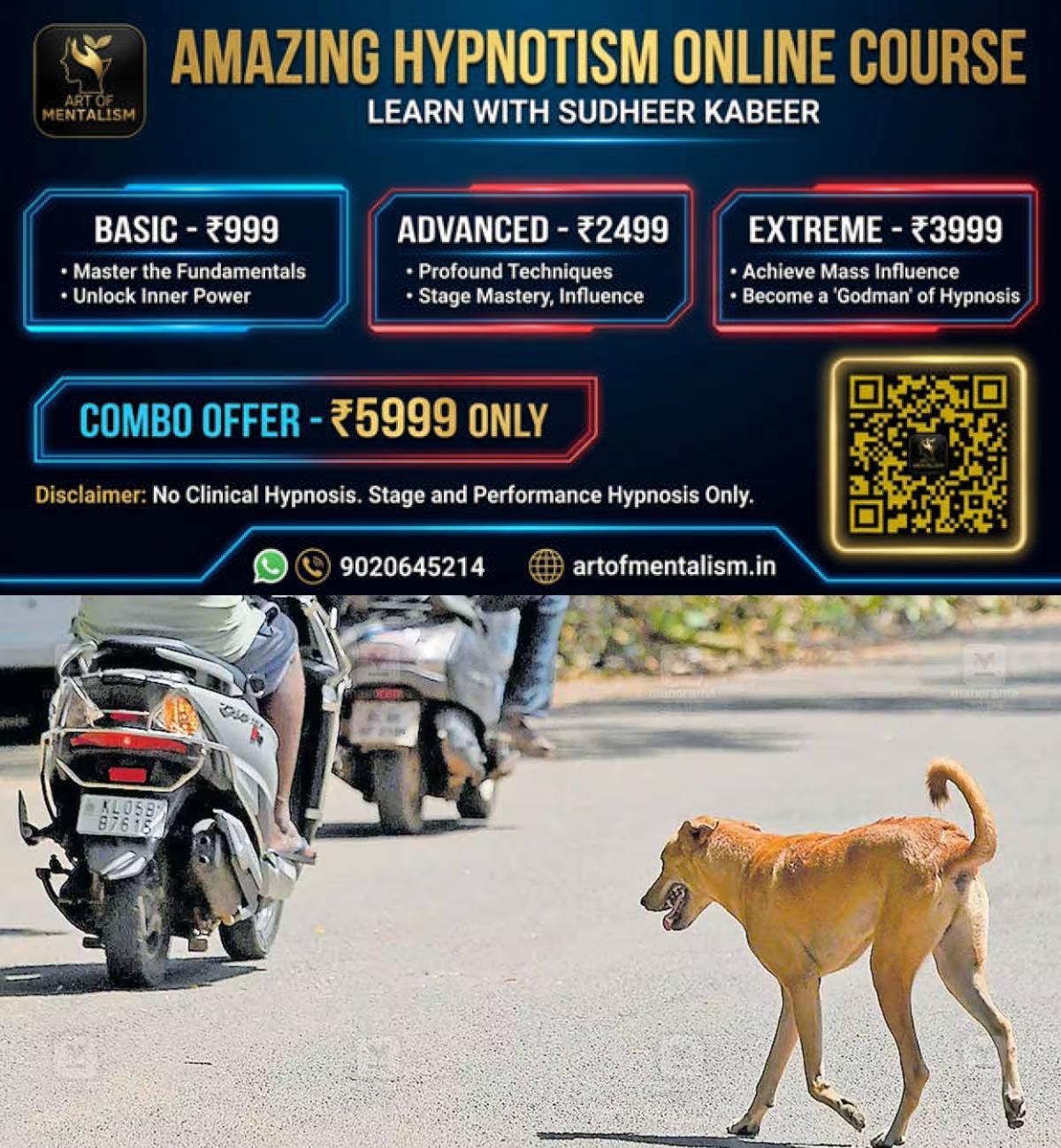 newskerala.net_1790568618_dog-ktm