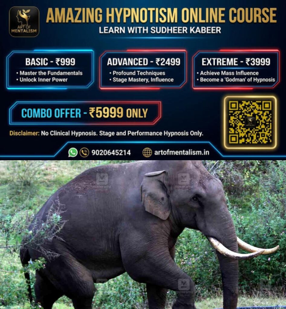 newskerala.net_1790637005_Wild-Elephant-padayappa