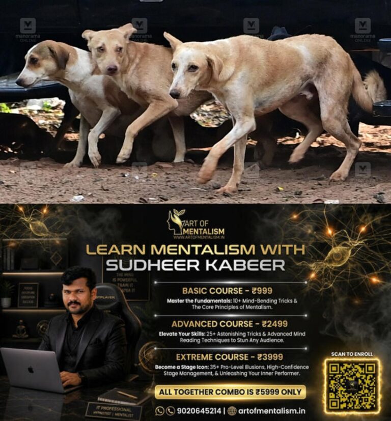 newskerala.net_1790652966_stray-dogs-1