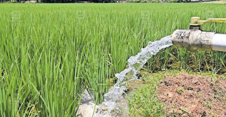 palakkad-farmers-demand-dam-opening.jpg