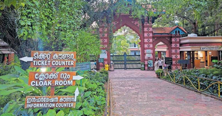 tvm-zoo.jpg