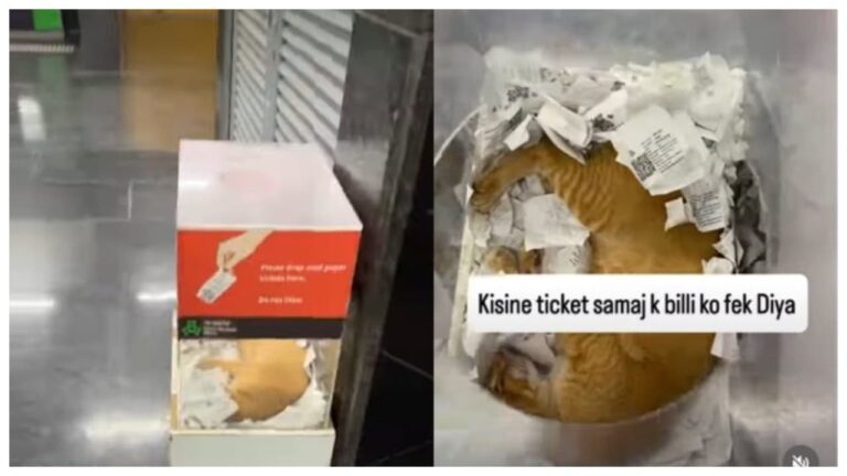 w-1280h-720format-jpgimgid-01m3f9m18qxcfzaw7k3rx57e12imgname-cat-sleeps-inside-ticket-box-179044.jpeg