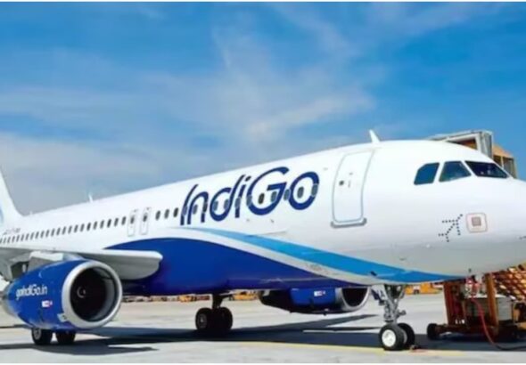 w-1280h-720format-jpgimgid-01m3j71rt26ymy18rf5hfdbpstimgname-indigo-1790538998593.jpg