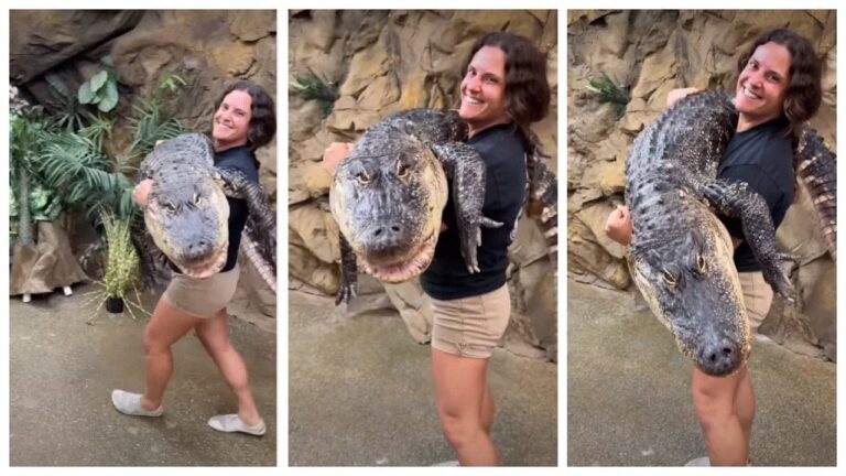 w-1280h-720format-jpgimgid-01m3ngqnk6m5dx60zjdsn4rj02imgname-woman-carries-250-pound-alligator-1.jpeg