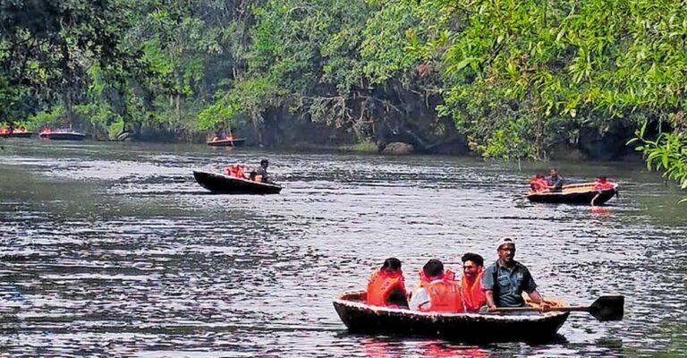 adavi-ecotourism-kuttavanchi-savari-revenue.jpg