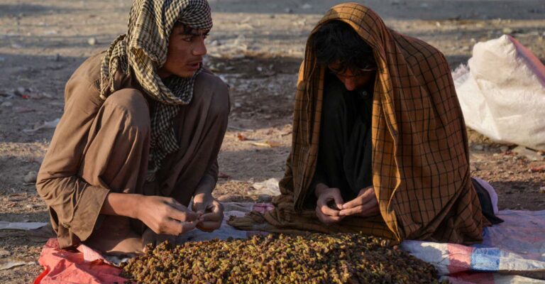 afghan-trading-main-1.jpg