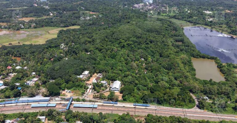 aiims-velloor-aerial-view.jpg