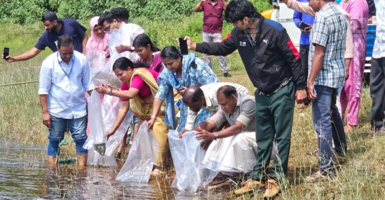 banasura-sagar-reservoir-fish-seeding-1.jpg