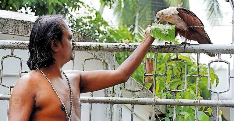 eloor-naranath-temple-eagle-butter.jpg