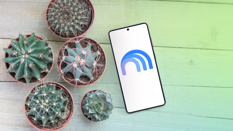 gemini-notebook-shown-beside-several-potted-plants.png