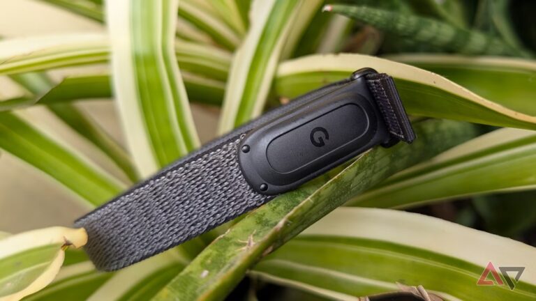google-fitbit-air-fitness-tracker-on-plants.jpg