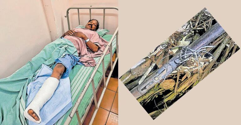 man-injured-wild-boar-trap-vellarikundu.jpg