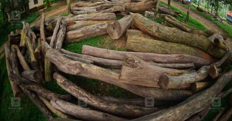 muttil-rosewood-smuggling.jpg
