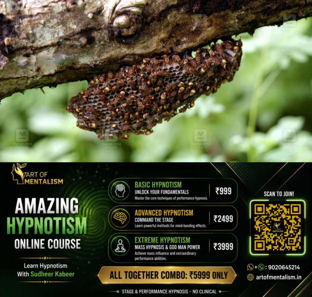 newskerala.net_1791086285_kadannal-wasp-1