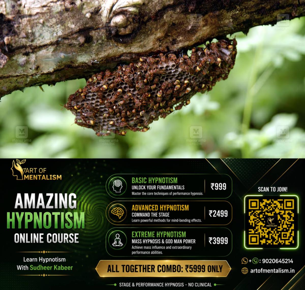 newskerala.net_1791086285_kadannal-wasp-1