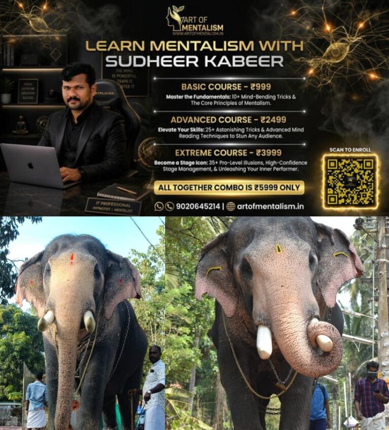 newskerala.net_1791142928_pallattu-bhahmathadan