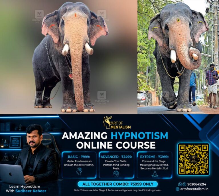 newskerala.net_1791177847_elephant-pallatt-brahmadathan-1