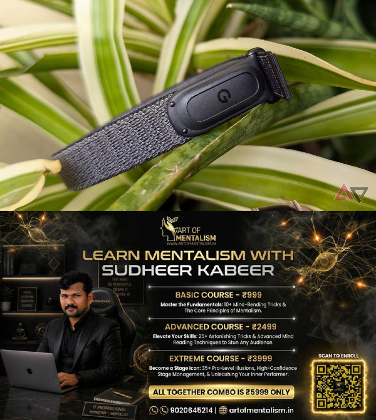 newskerala.net_1791178686_google-fitbit-air-fitness-tracker-on-plants