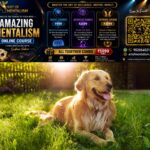 newskerala.net_1791408846_dog