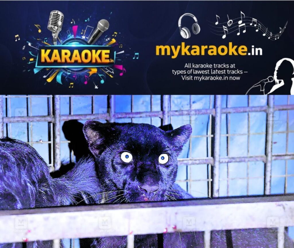 newskerala.net_1791614049_black-panther